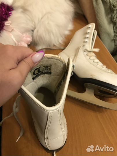 Коньки фигурные Ladies