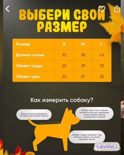 Одежда для маленьких собак, размер М