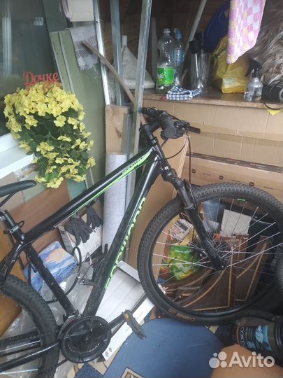 Велосипед forward apache 2.0 disk 29