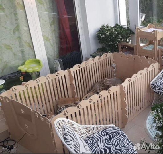 Вольер для котят, щенят