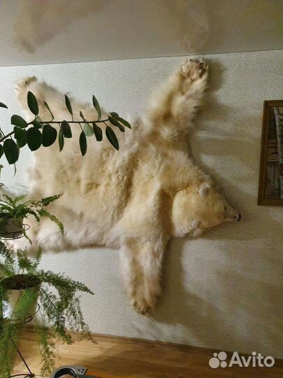Медведь. Шкура белого медведя ковер, «реплика»