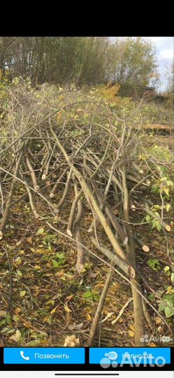 Аренда измельчитель веток расчистка участков