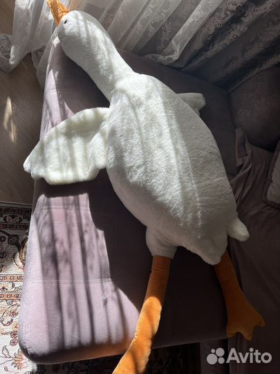 Гусь обнимусь