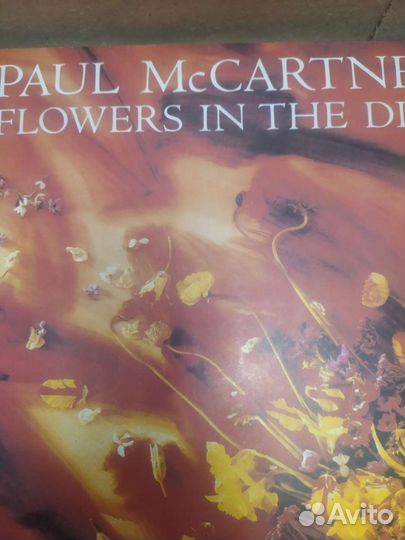 Грампластинки