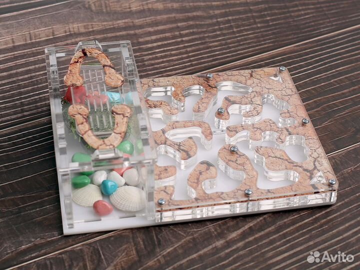 Муравьиная ферма с муравьями в Омск