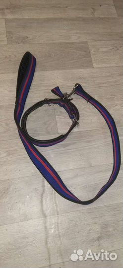 Ошейник и поводок