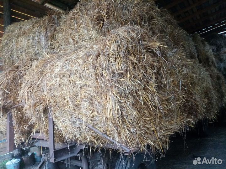 Продам солому и зерно овес с викой