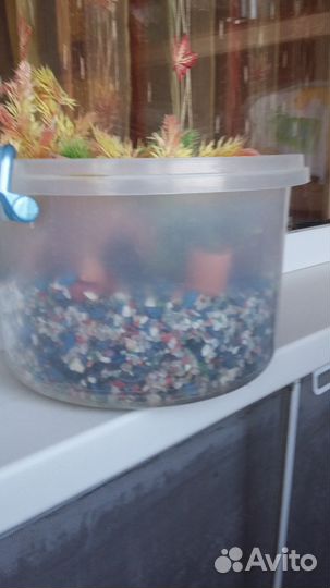 Наполнение в аквариум