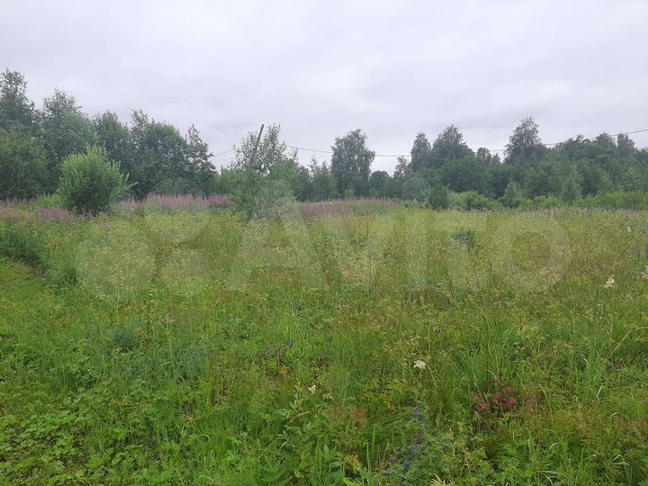 Участок 17,17 га (ИЖС)