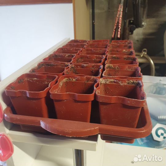 Контейнеры