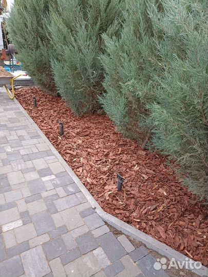 Мульча кора лиственницы