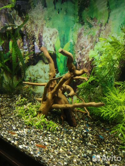 Коряги для аквариума