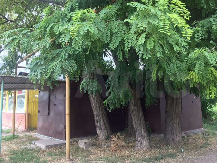 Свободного назначения, 19 м²