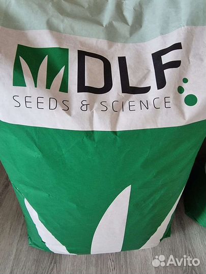 Клевер Белый Ривендел Дания DLF ползучий 2023г