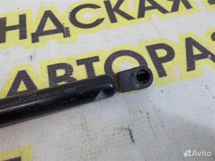 Амортизатор капота Volkswagen Touareg I (7L) 2002