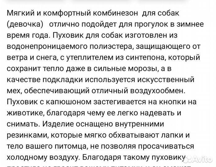 Одежда для собак