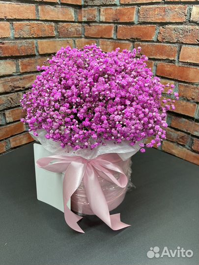 Гипсофила в коробке