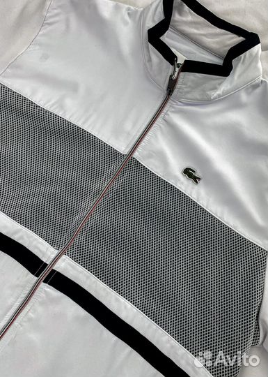 Мужской Костюм спортивный Lacoste (сетка) (2103438