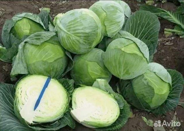 Фермерские продукты