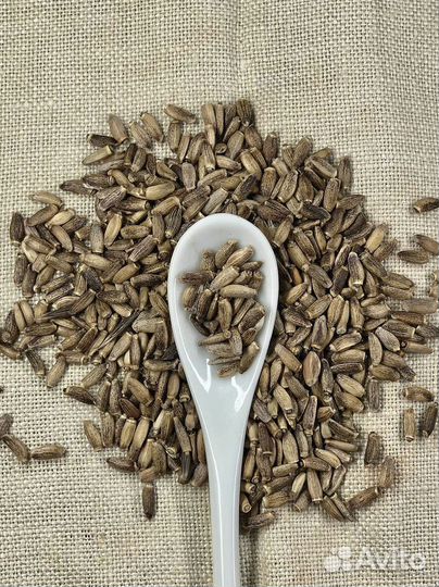 Расторопша / Семена расторопши