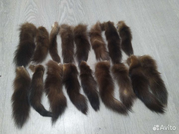 Хвосты соболя 17 шт