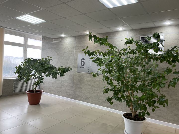 Офис, 174.1 м²