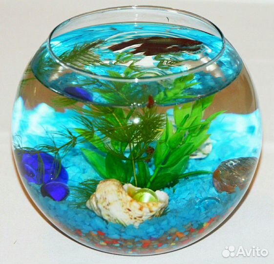 Аквариум-подарок 2,3,7 литров