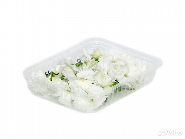 Гвоздика белая (бутоны) / Съедобные цветы