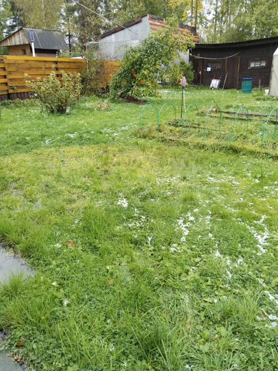 Дом 56 м² на участке 8,1 сот.