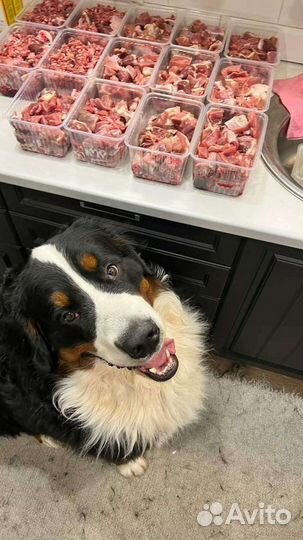 Натуралка.Корм для собак.Мясо.Готовые рационы