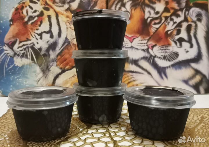 Мумие алтайское