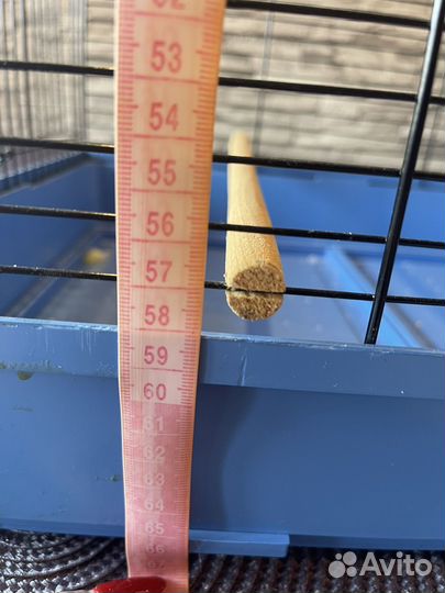 Клетка для средних попугаев