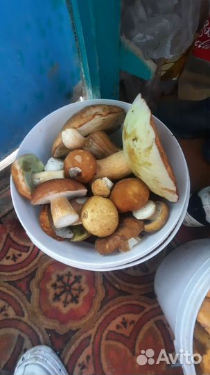 Грибы в наличии и на заказ.боровики,подосиновики