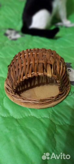 Для хомячка