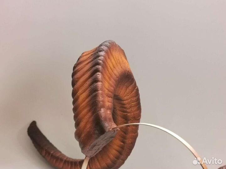 Большие витые рога, рога демона, демонические рога