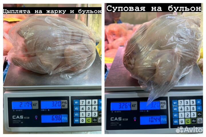 Индейка/Курица домашняя/Халяль/в агропарке