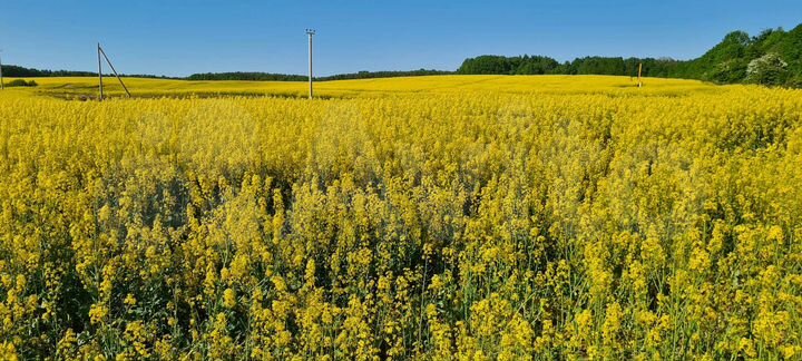 Участок 30 сот. (ИЖС)