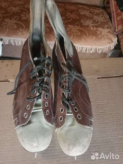 Коньки любительские