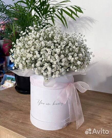 Коробка с цветами гипсофила букет