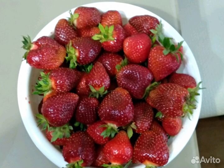 Клубника сорт Царица