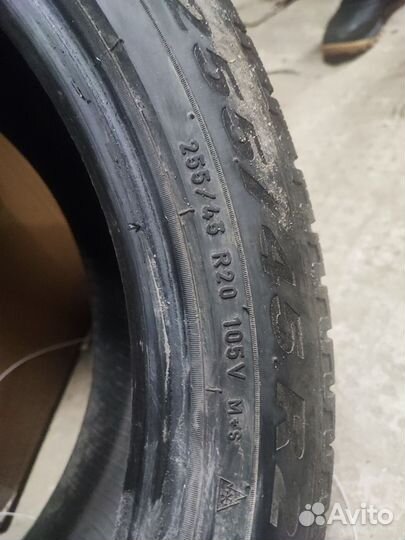 Pirelli Scorpion Winter 255/45 R20 105V