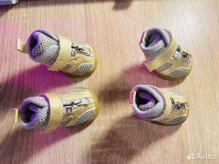 Ботинки для маленьких собак