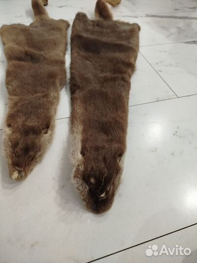 Шкуры норки коричневые