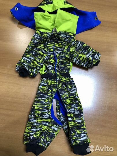 Одежда для собак разных пород