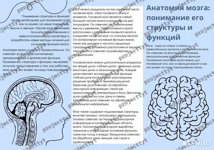 Школьные проекты, презентации, доклады Помощь