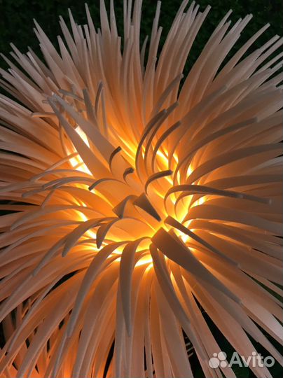 Ростовые цветы