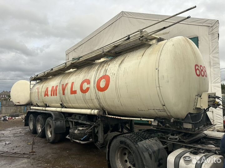 Полуприцеп химическая цистерна Schwelmer FTW-24000, 1987