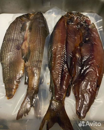 Пелядь, Карась, щука, сазан, лещ