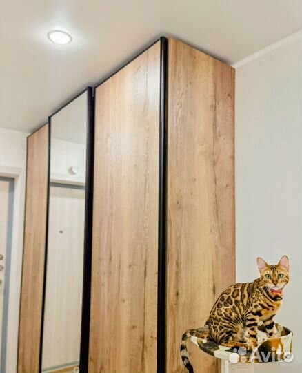 Шкаф на заказ от производителя. Фабрика