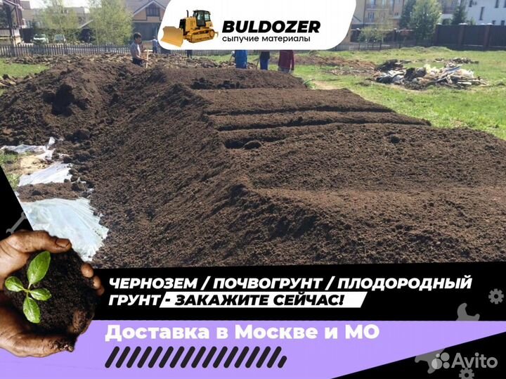Чернозем